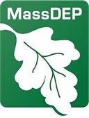 White oak leaf on a green background