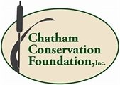 Beige oval with Chatham Conservation Foundation in green lettering inside it with a green cattail reed to the left