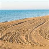 Tire tracks in the sand of a beach