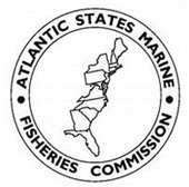 US Atlantic Coast States outline