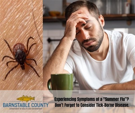 Close up of a tick next to picture of a man at a table with his head in his hand with his eyes closed