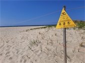 Yellow triangular "Area Closed" sign on a beach