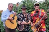 Three men holding banjoes and guitars standing in front of a hedge