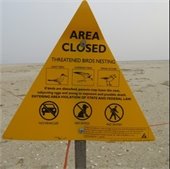Triangular yellow "Area Closed due to Shorebirds" sign in place on a beach