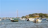 A variety of motor boats and sail boats moored in a small harbor