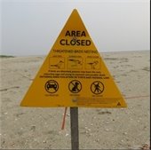 Yellow triangular "Area Closed" sign on a beach