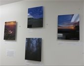 Four photographs arranged on a white wall.