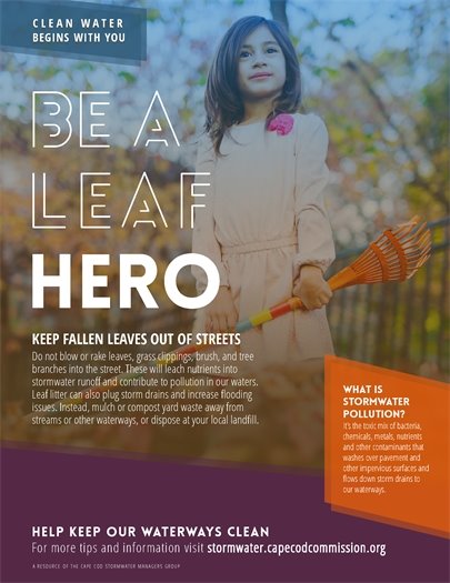 girl with rake being a Leaf Hero by keeping leaves out of streets