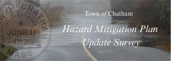 A flooded street with marshland on either side