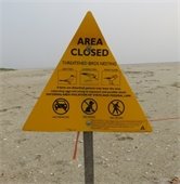 Yellow triangular "Area Closed" sign on a beach