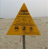 Yellow triangular sign on a beach noting that the area is closed for the protection of shorebirds