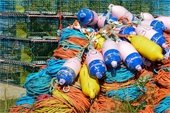 Pile of colorful buoys and fishing gear