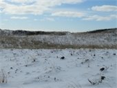 A beach dune with snow on it.