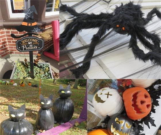 Images of Halloween decorations including a spider, jack o lanterns, witch legs and black cats 