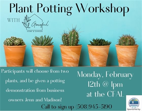 Pooted plant workshop at the Center for Active Living on Feb 12 at 1 pm