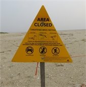 Yellow triangular "Area Closed" sign on a beach