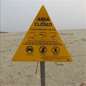 Yellow triangular "Area Closed" sign on a beach