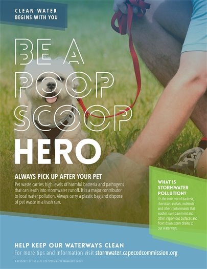 Always pick up after your pet