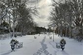 Chase Park with snow