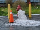 A fire hydrant being flushed with an orange safety cone next to it.