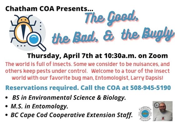 COA program The Good the Bad and the Bugly program April 7 at 10:30 a.m. on Zoom. Call 508-945-5190 for reservation.