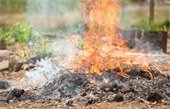 Burning pile of yard waste