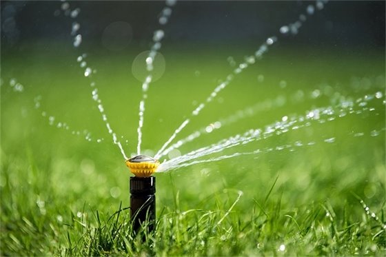 A sprinkler head in green grass