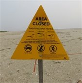 Yellow triangular "Area Closed" sign on a beach