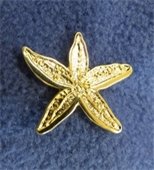 Gold starfish on blue background