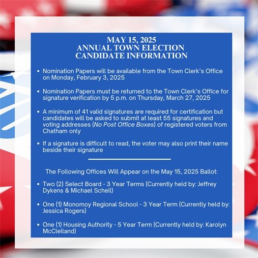 candidate information fort the 2025 Annual Town Election